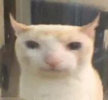 Why are you still awake? Go to sleep. Fuck you.