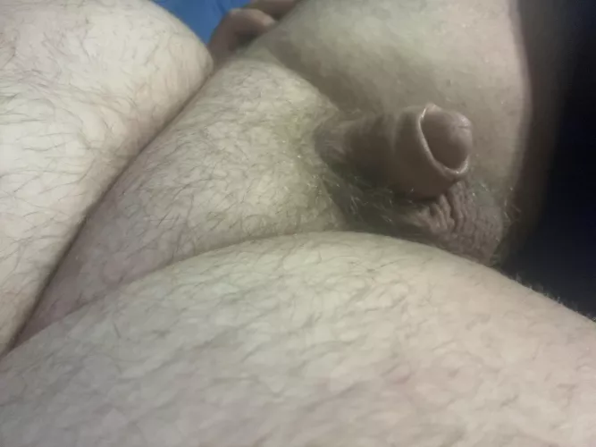 Would shaving it bald make it look bigger??