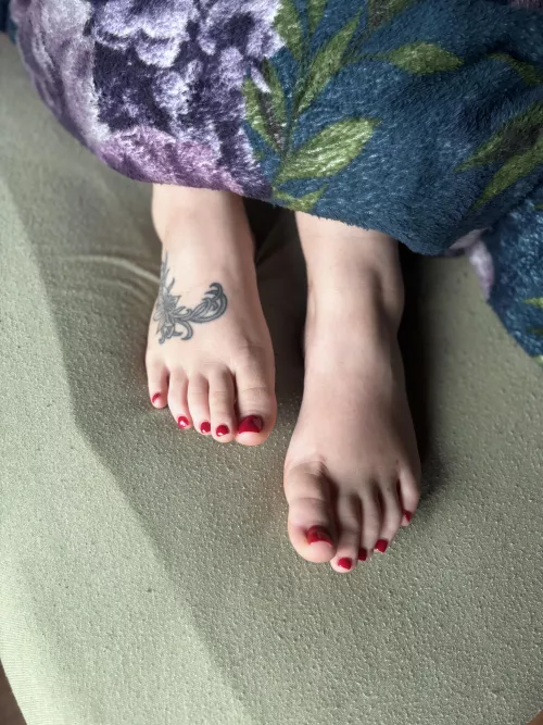 Would you like to lie under here? Oc