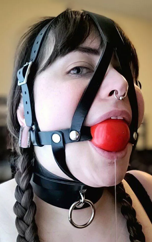 You can never go wrong with harness gag and collar 
