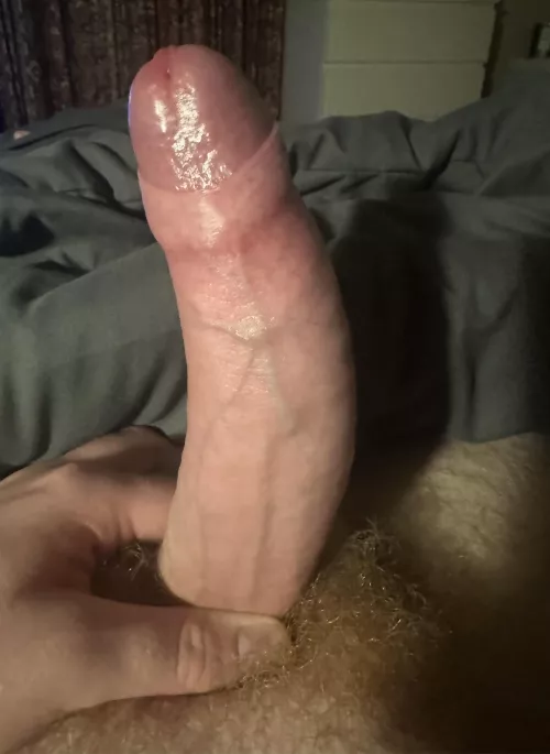 24 bi dm me