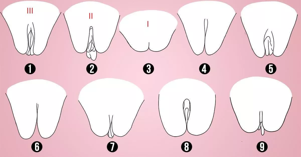 37 [M4F] 6 pussy's so far. What is your shape? Show me in a DM