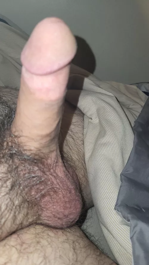 [52] Curious married dad looking for same. 