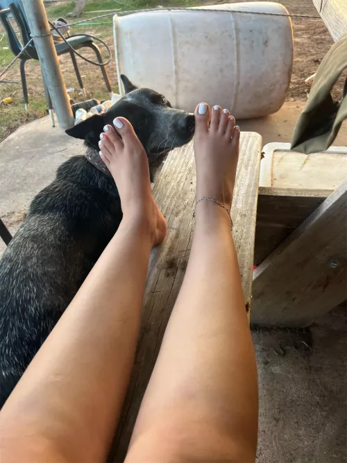 Always going for my pretty smelly feet 🐶🤍