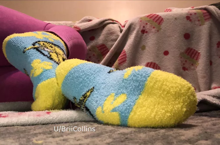 Are you a big fan of fuzzy socks ? 