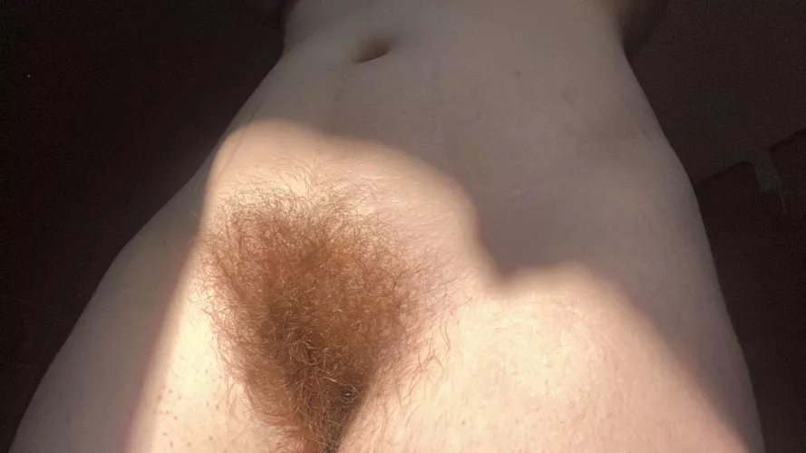 Bask in the light of my bush 