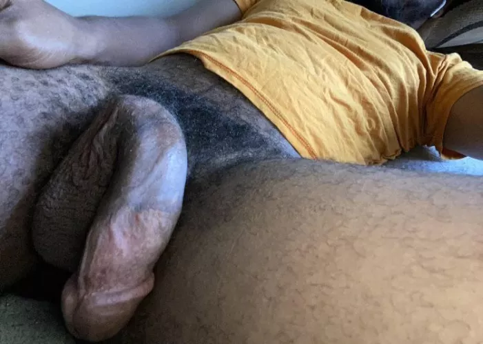 Bbc bull ready for your pleasure 