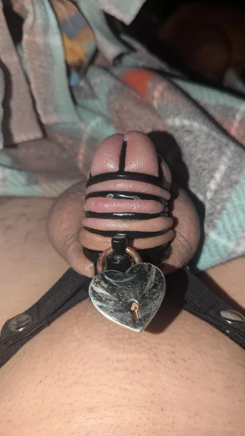 Been over 2 weeks since I last came, I'm so horny it hurts