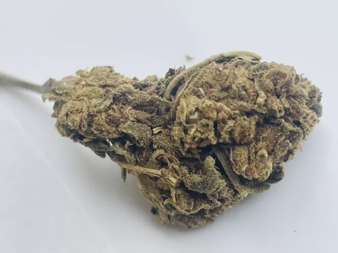 Boa quarta pra geral 