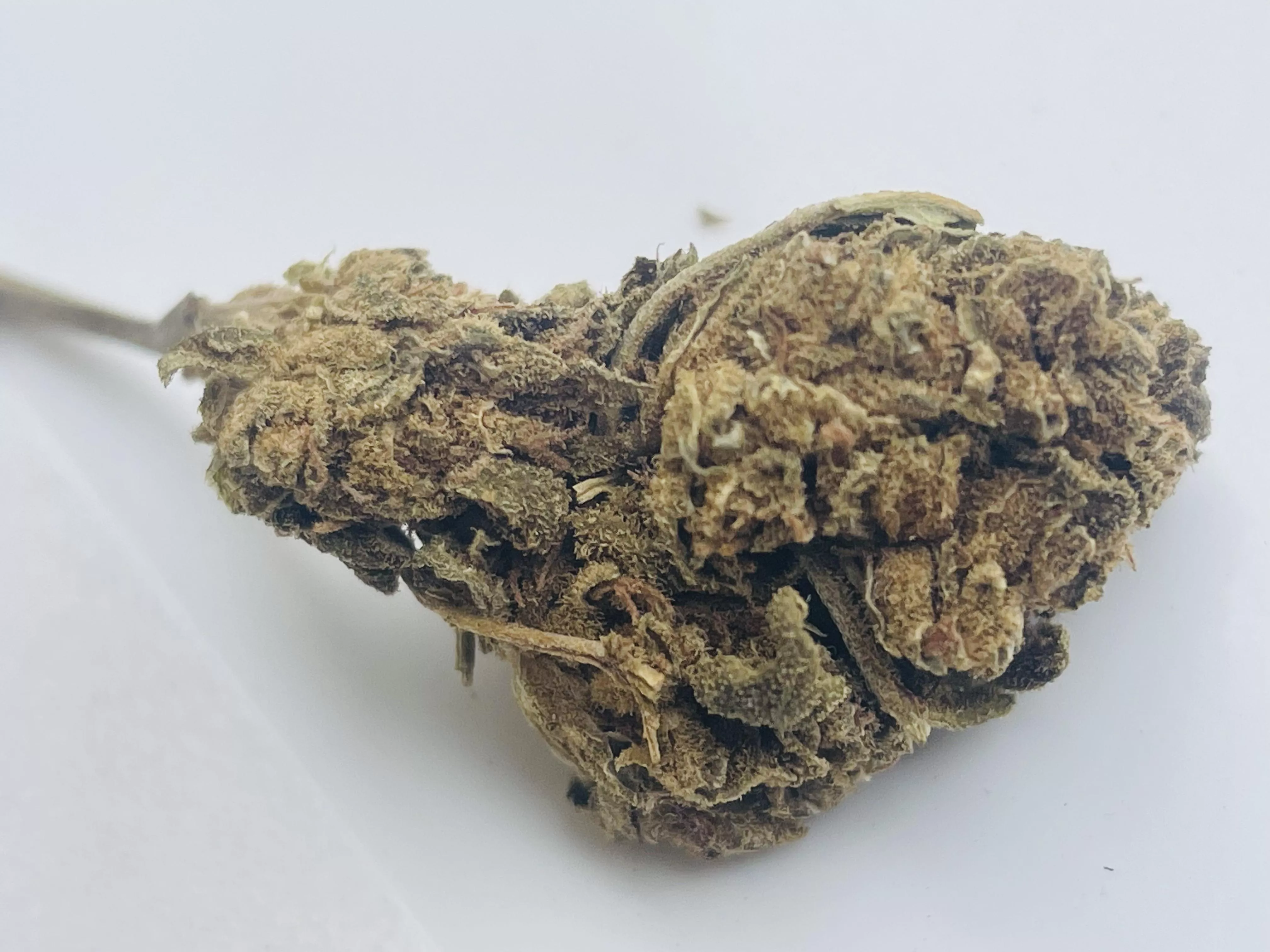 Boa quarta pra geral 