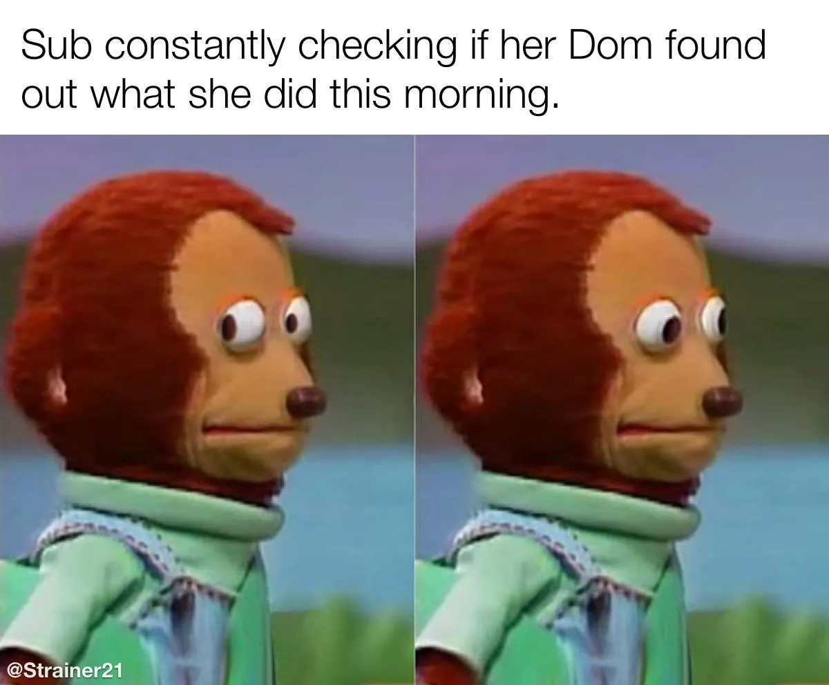 Brat is checking 👀