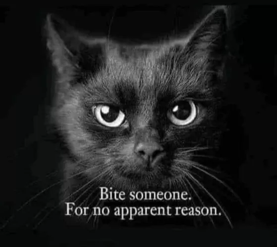 Brats at every opportunity 