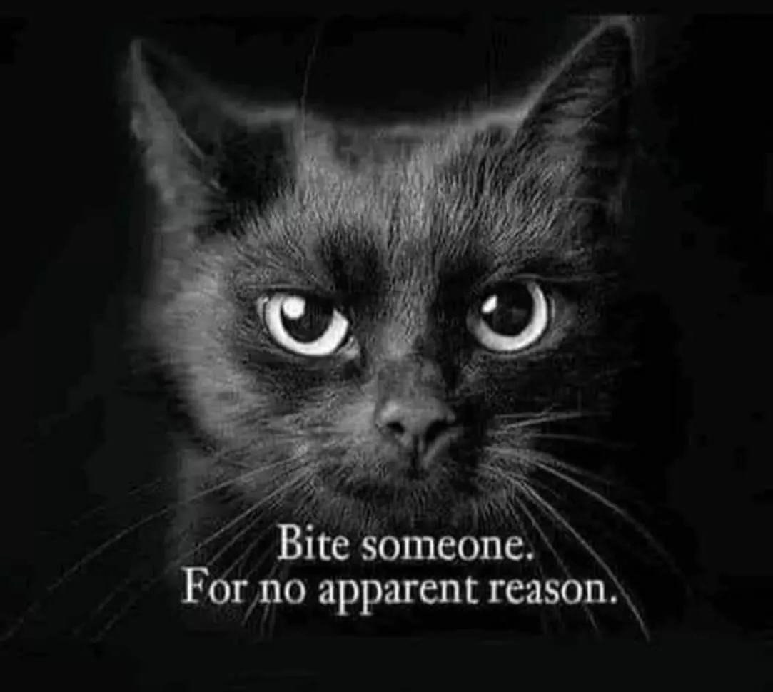 Brats at every opportunity 