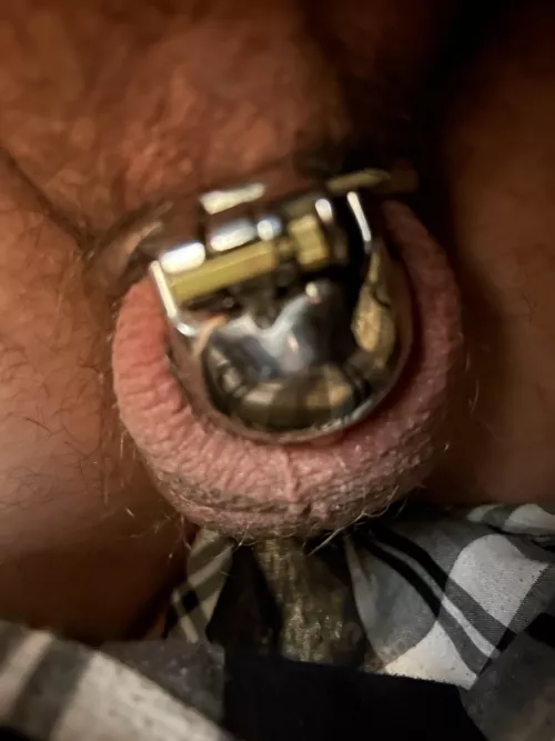 Day 16 - quick snap at work