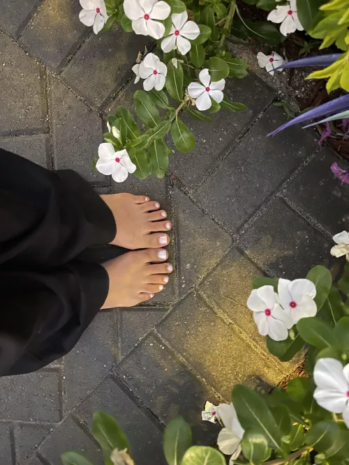 Flowers and toes👣🪷