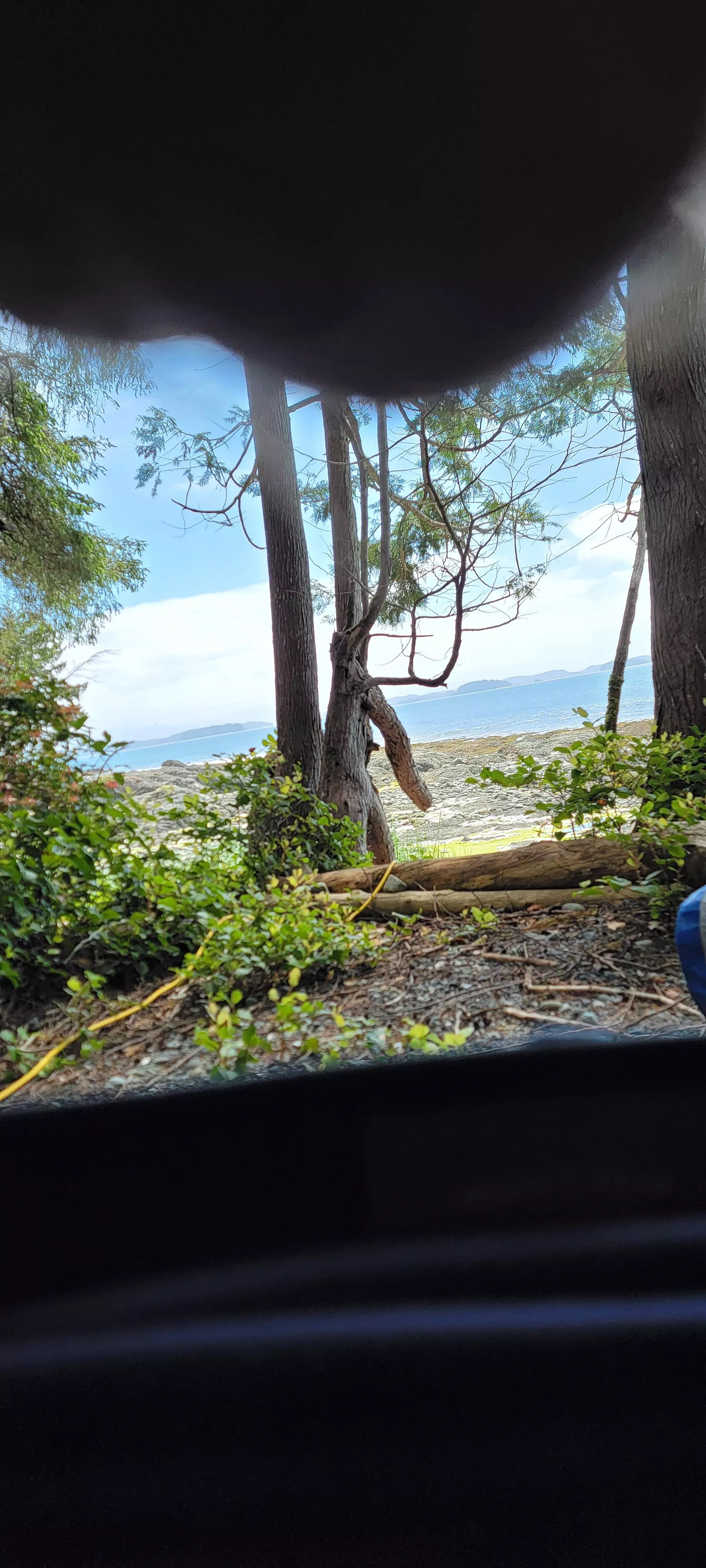 From the Sunny West coast of BC