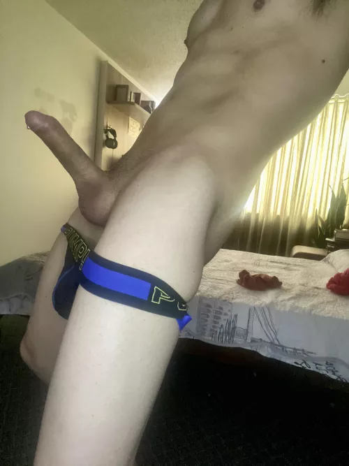 get on your knees and suck it