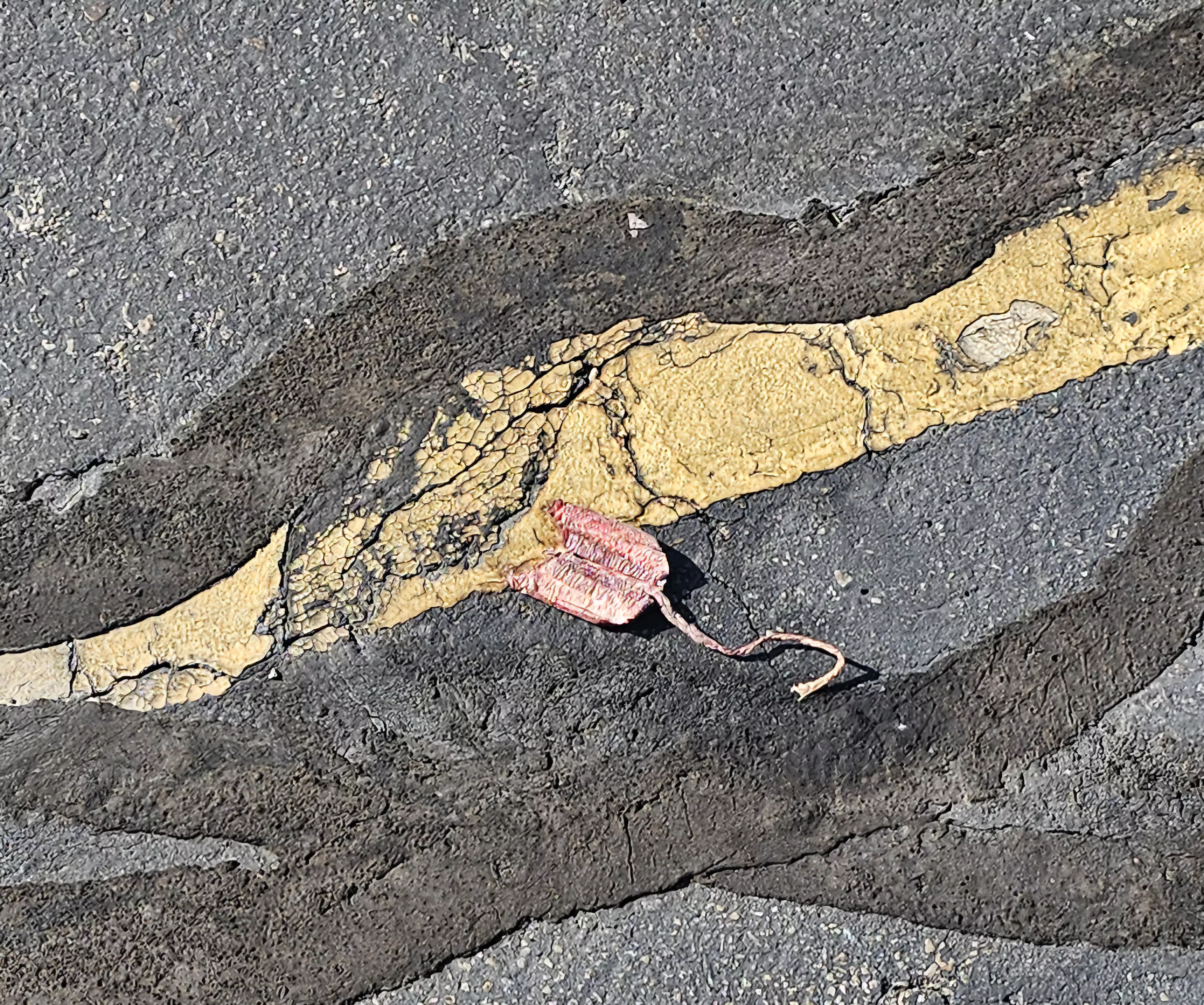 God knows how old tampon in the parking lot.