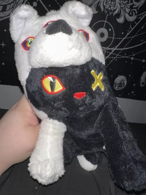 His name is Pixel :3 he finally got a name after 2y. 