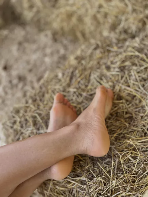 I know you can’t stop thinking about my feet