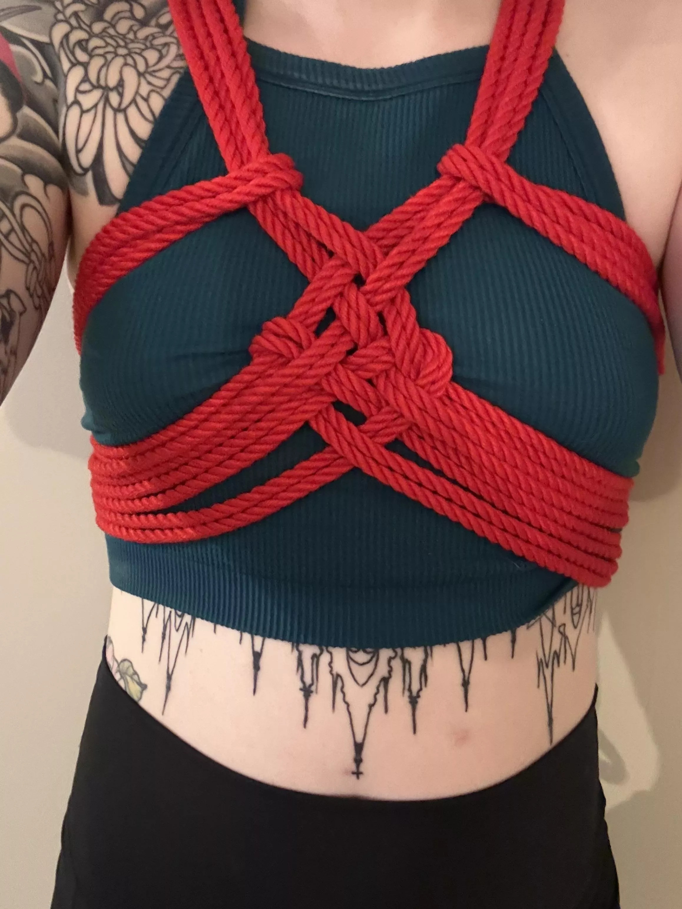 I love how this butterfly harness turned out
