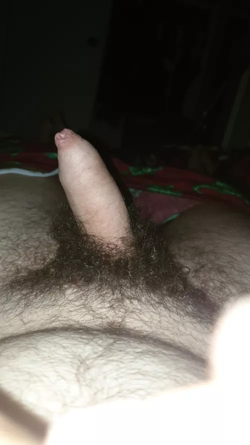 Is my hairy dick appealing to you 
