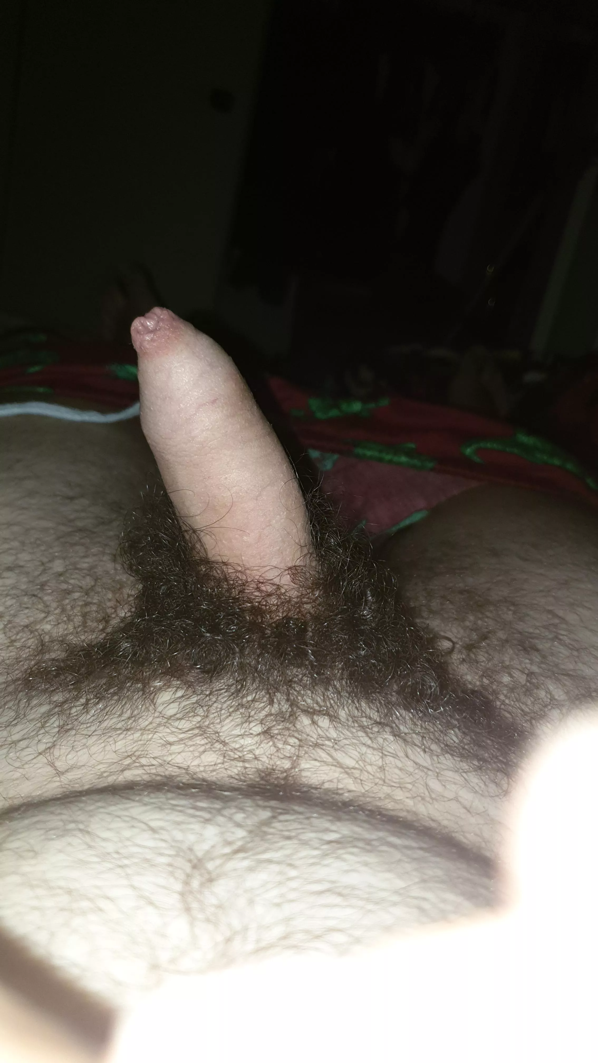 Is my hairy dick appealing to you 