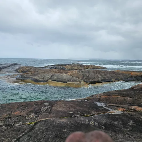 Just a cheeky one today