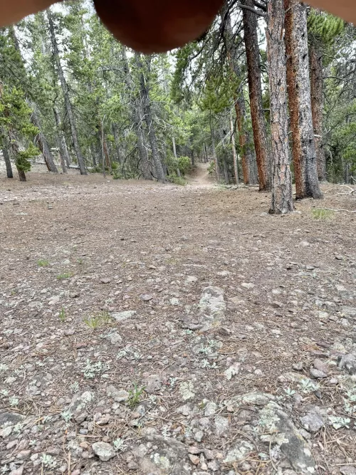 Just a little bit of nuts