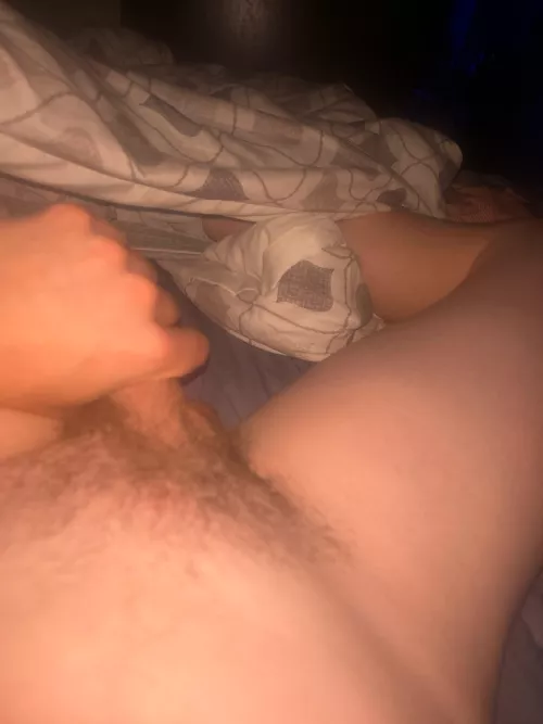 Let’s compare and bet 