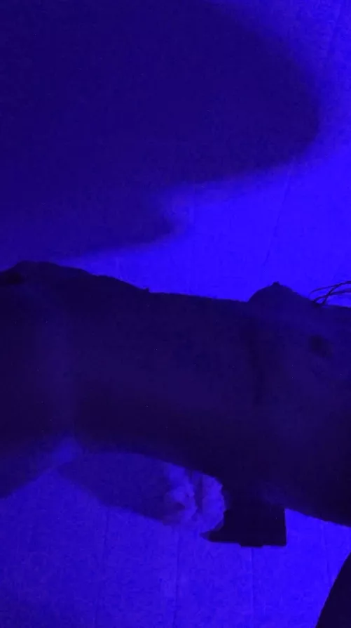 lick my body all over?