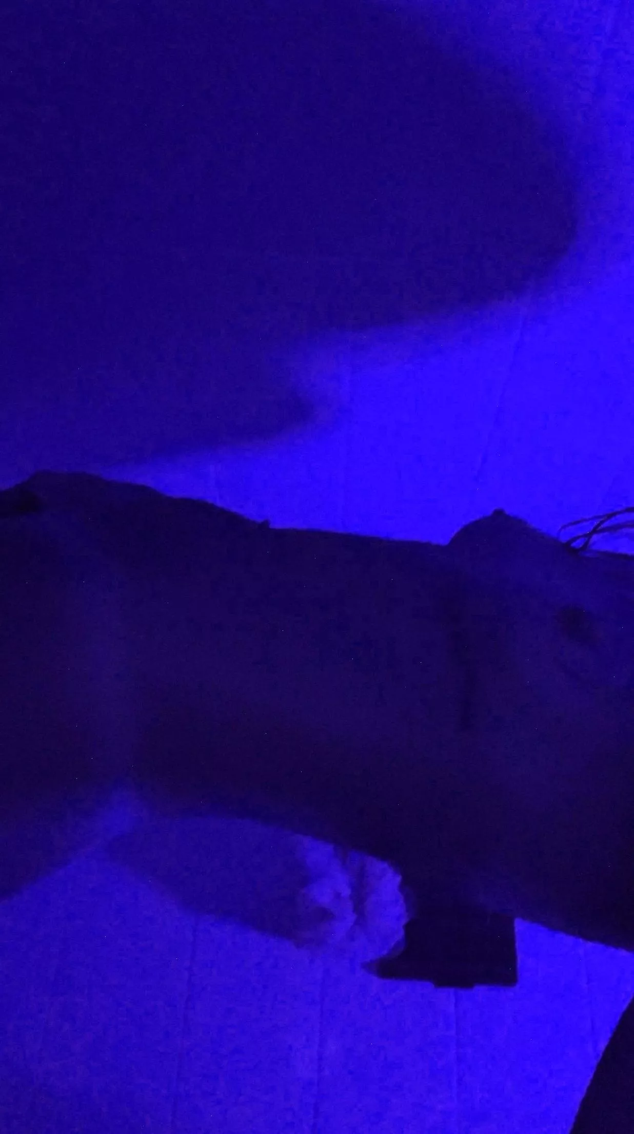 lick my body all over?