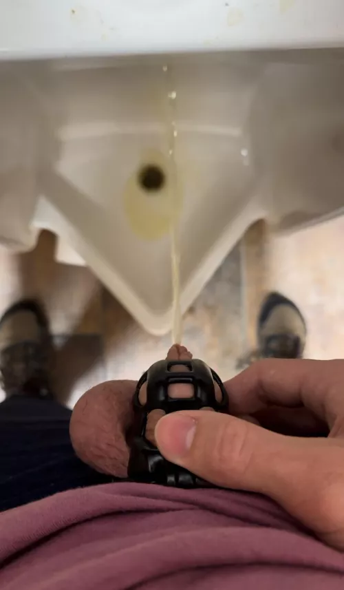 Locktober is going well so far, I keep coming up with excuses to expose this locked cock in public.