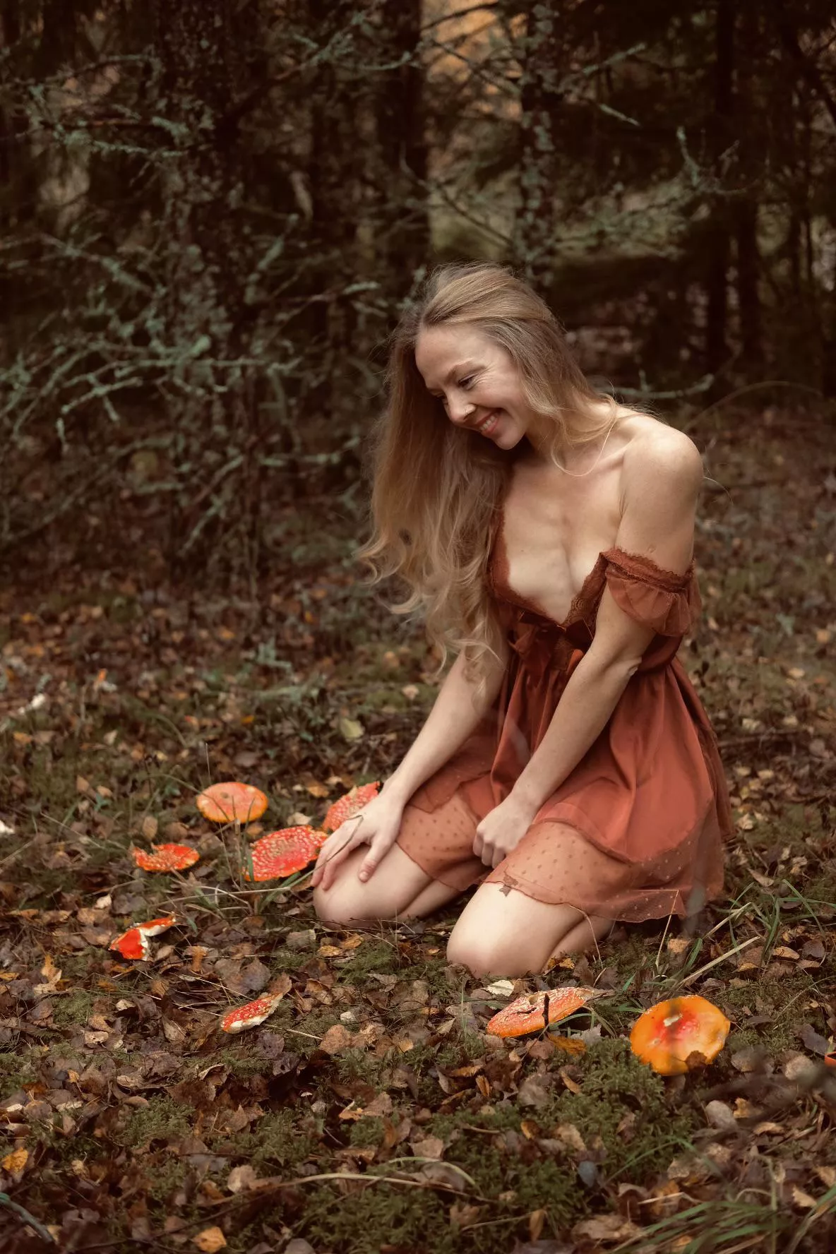 Lovely bright mushrooms