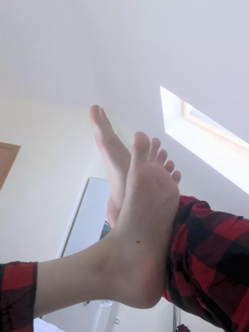 Morning feet
