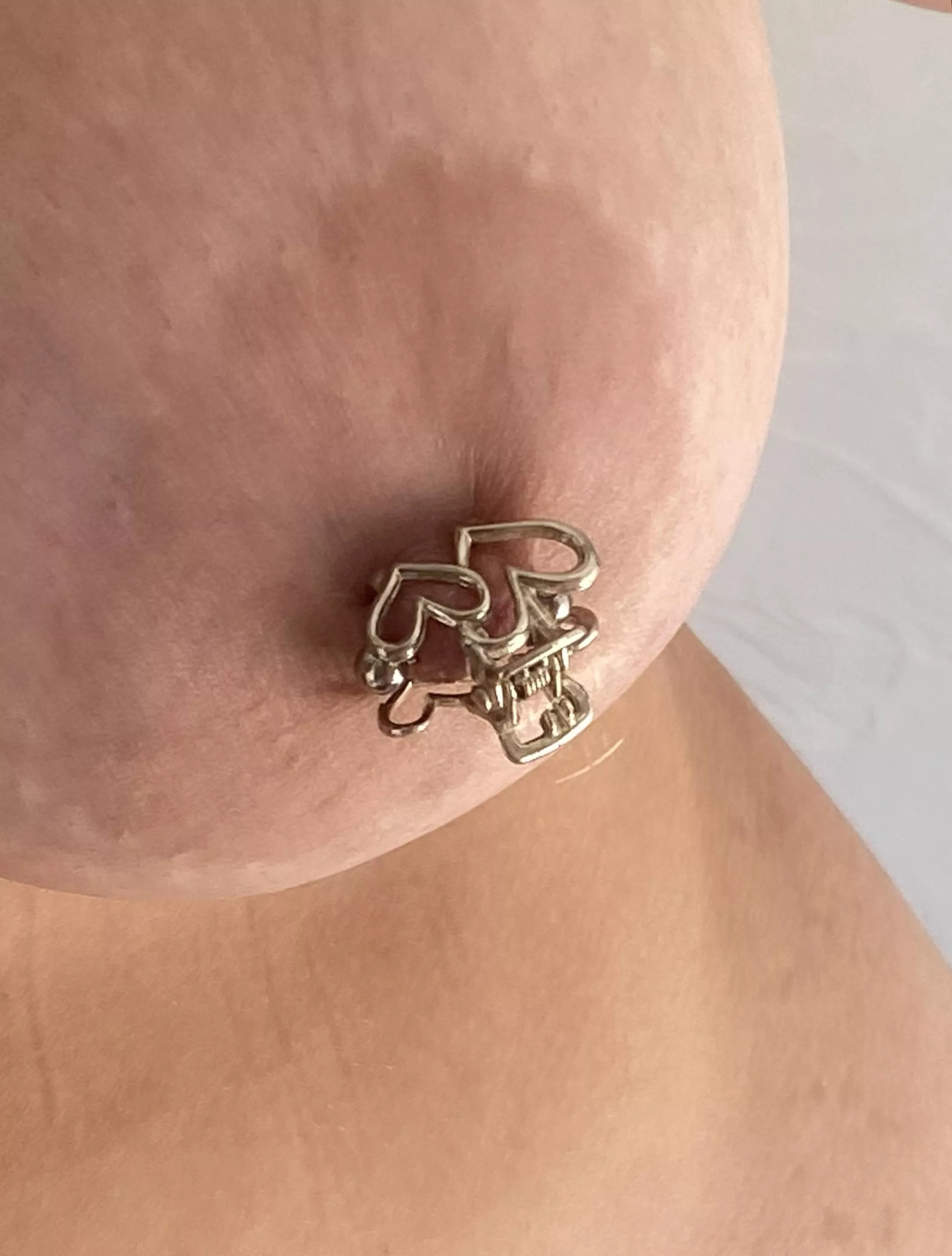 My large areolae are adorned with a full stuffing