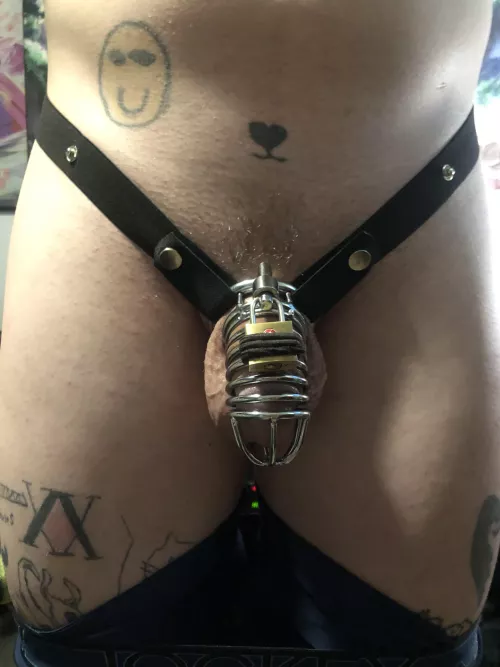 Need a tribute bad…give me it