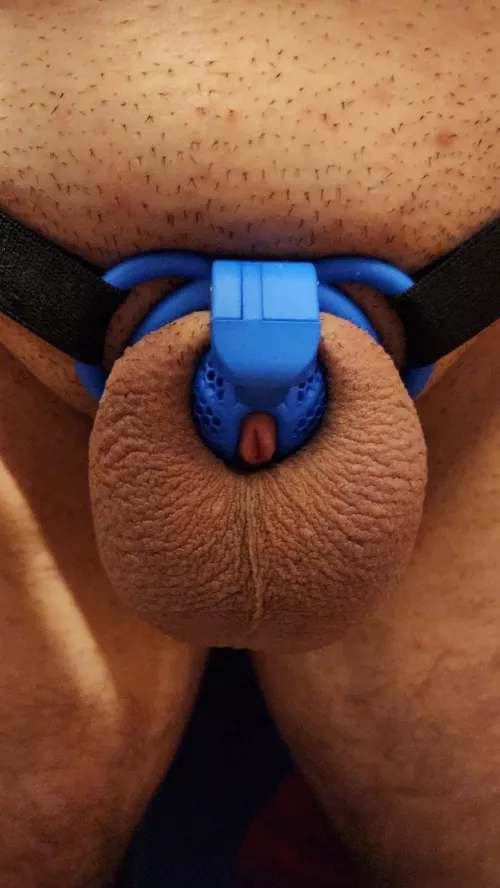 New Cherry Keeper Micro! 