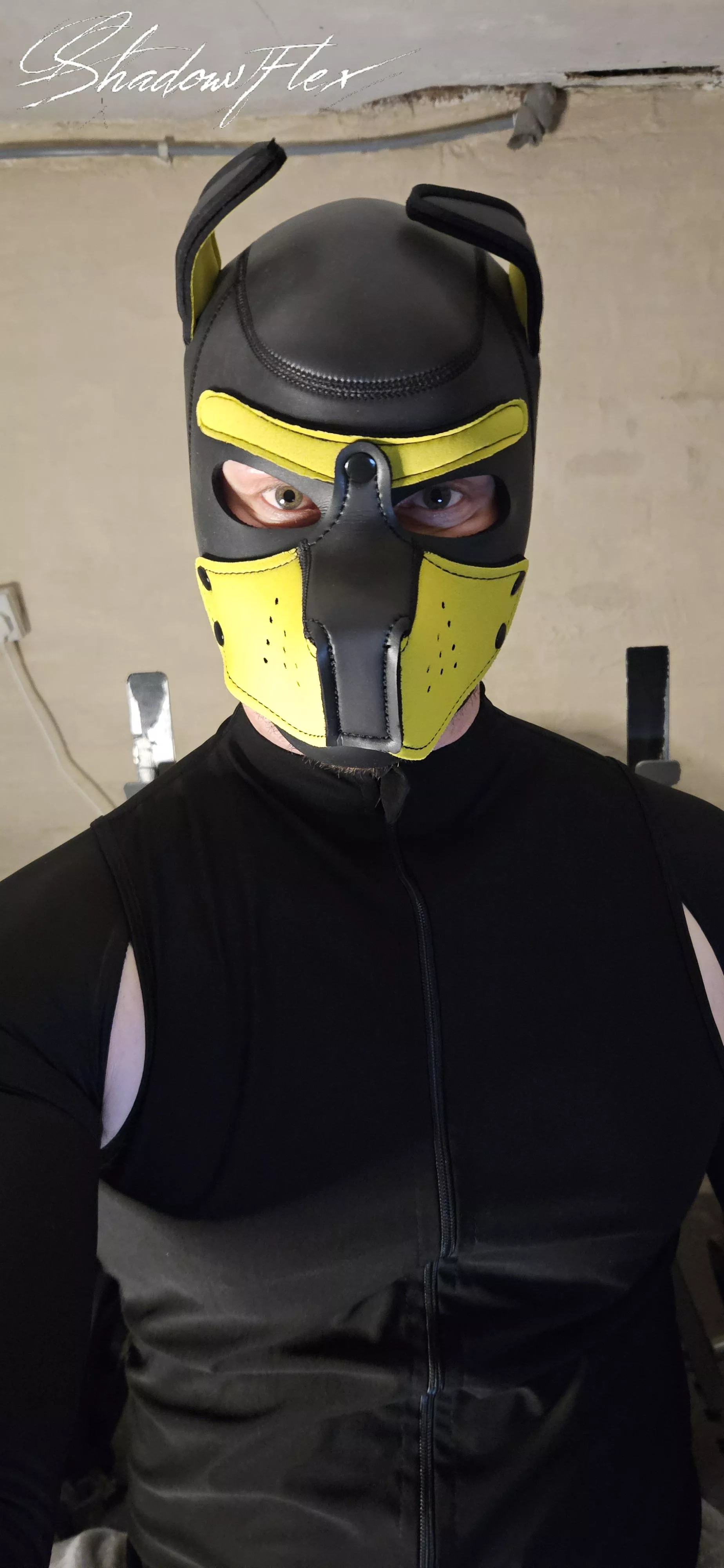 New gear, in a mood today