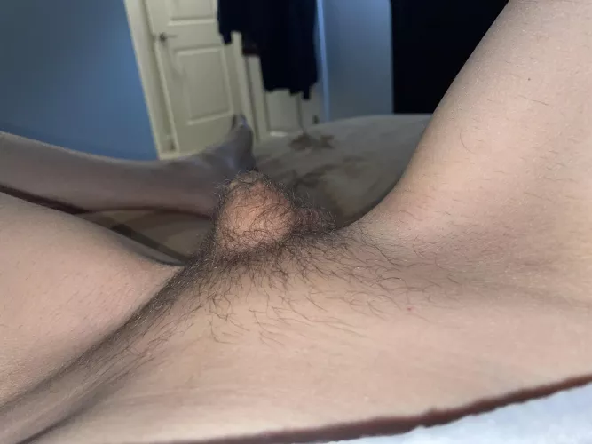 Now help me shave it ? 