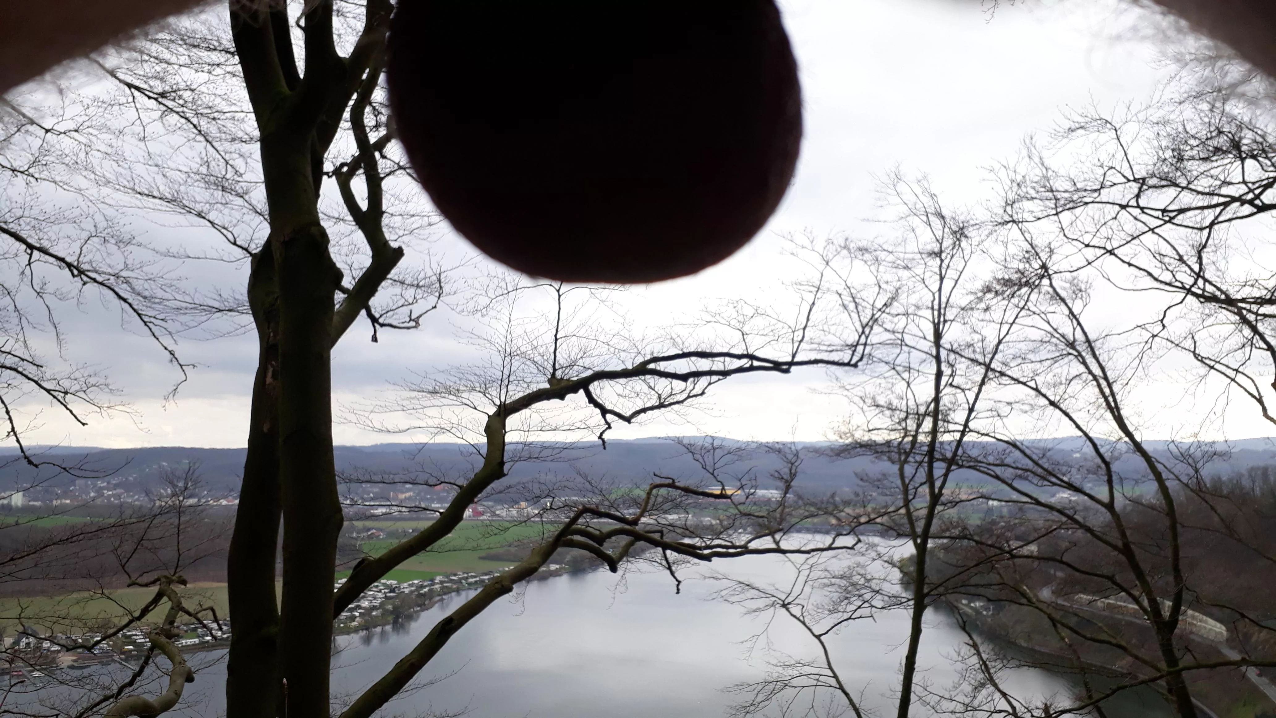 Nuts high above the lake 