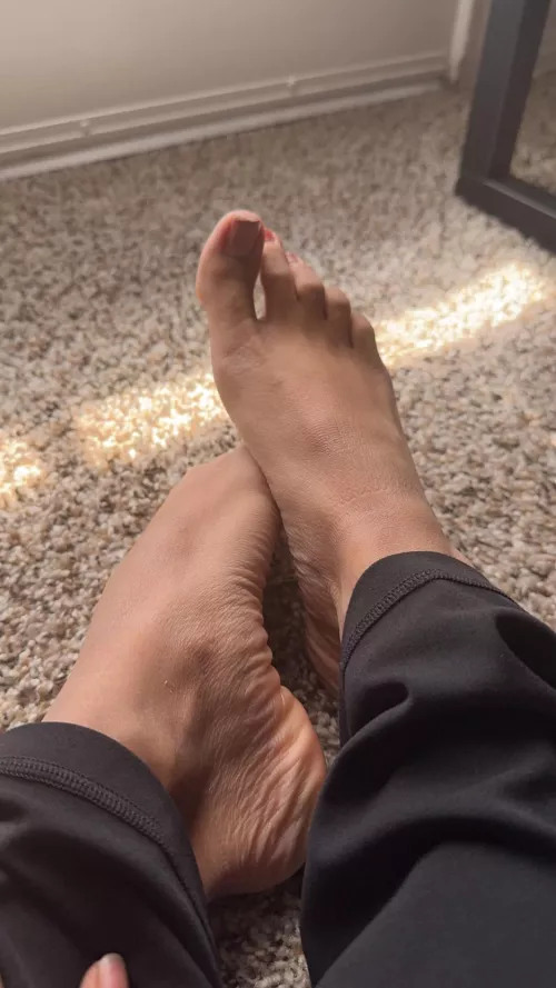 Oh no are you triggered?π€ͺ