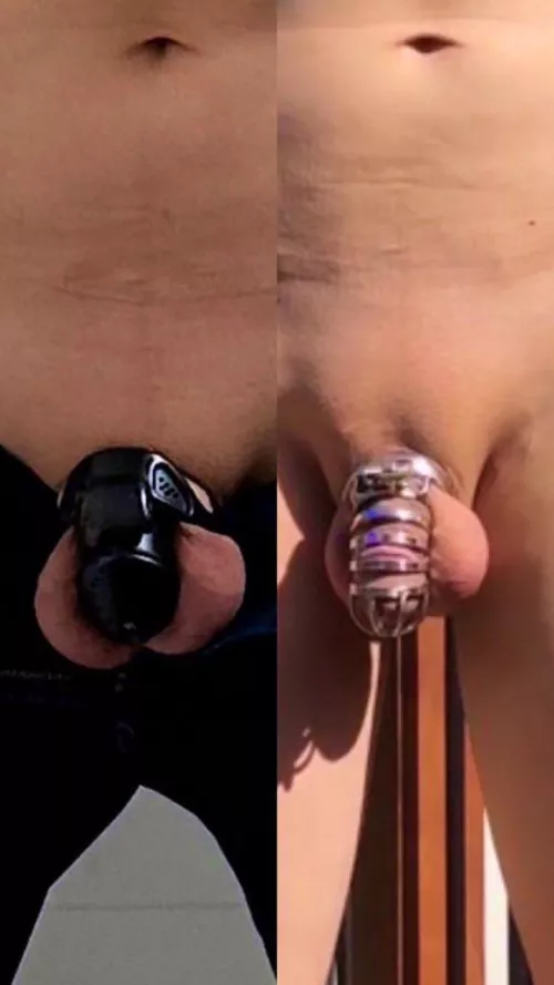 Plastic or Metal Cage?