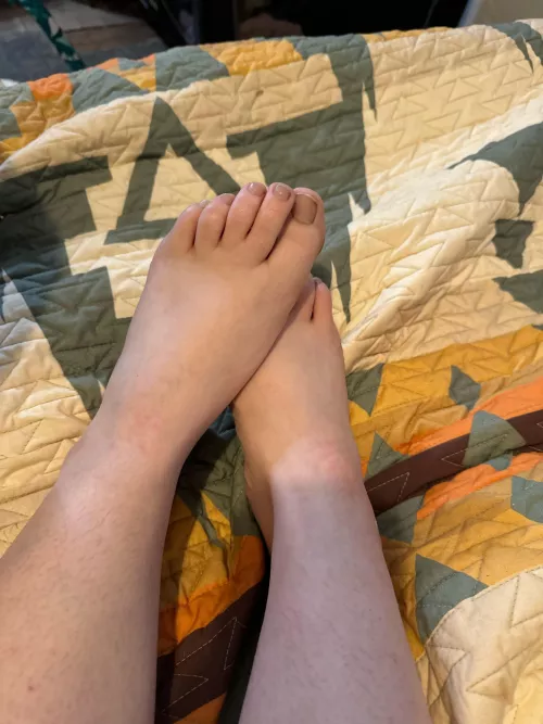 Pretty little piggies 