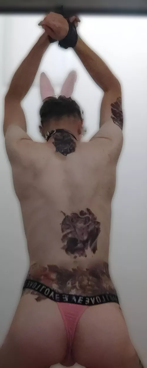 The bunny hunti. Season