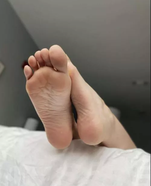 They’re just begging for it 