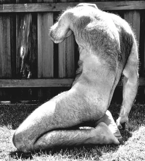 This breeding season has got [m]e like...