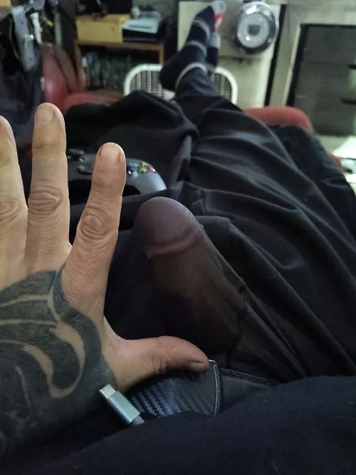 This little guy wants set free from these see through panties 