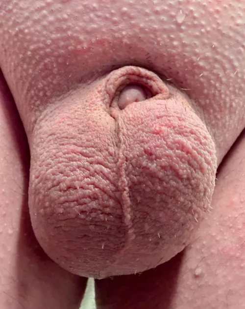 Too many hung guys on here :)