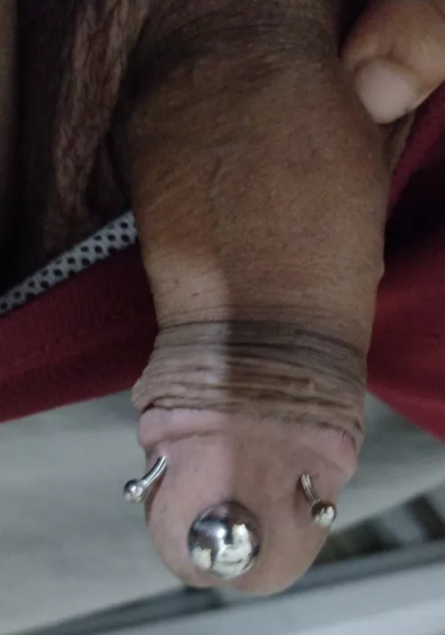 Two dydoes like a worm